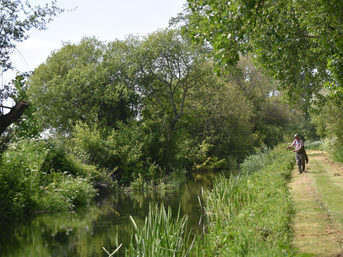 View of the Wimborne St. Giles fishing beat on the River Allen