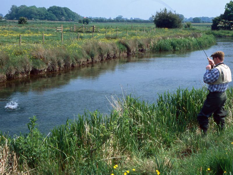 A bend on the double-bank water at Mulberry Whin