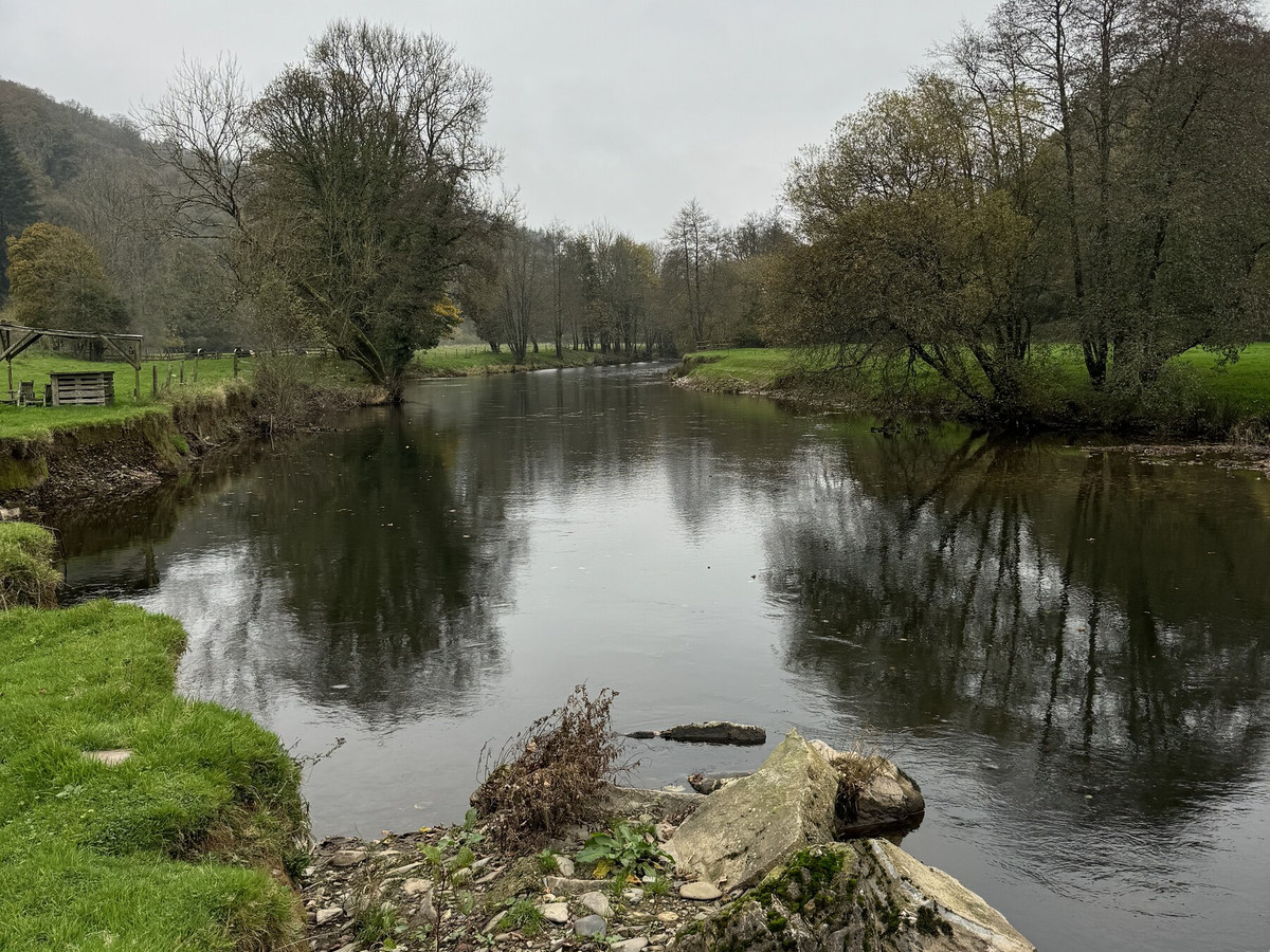 The River Exe on the Bickleigh Beat, Devon