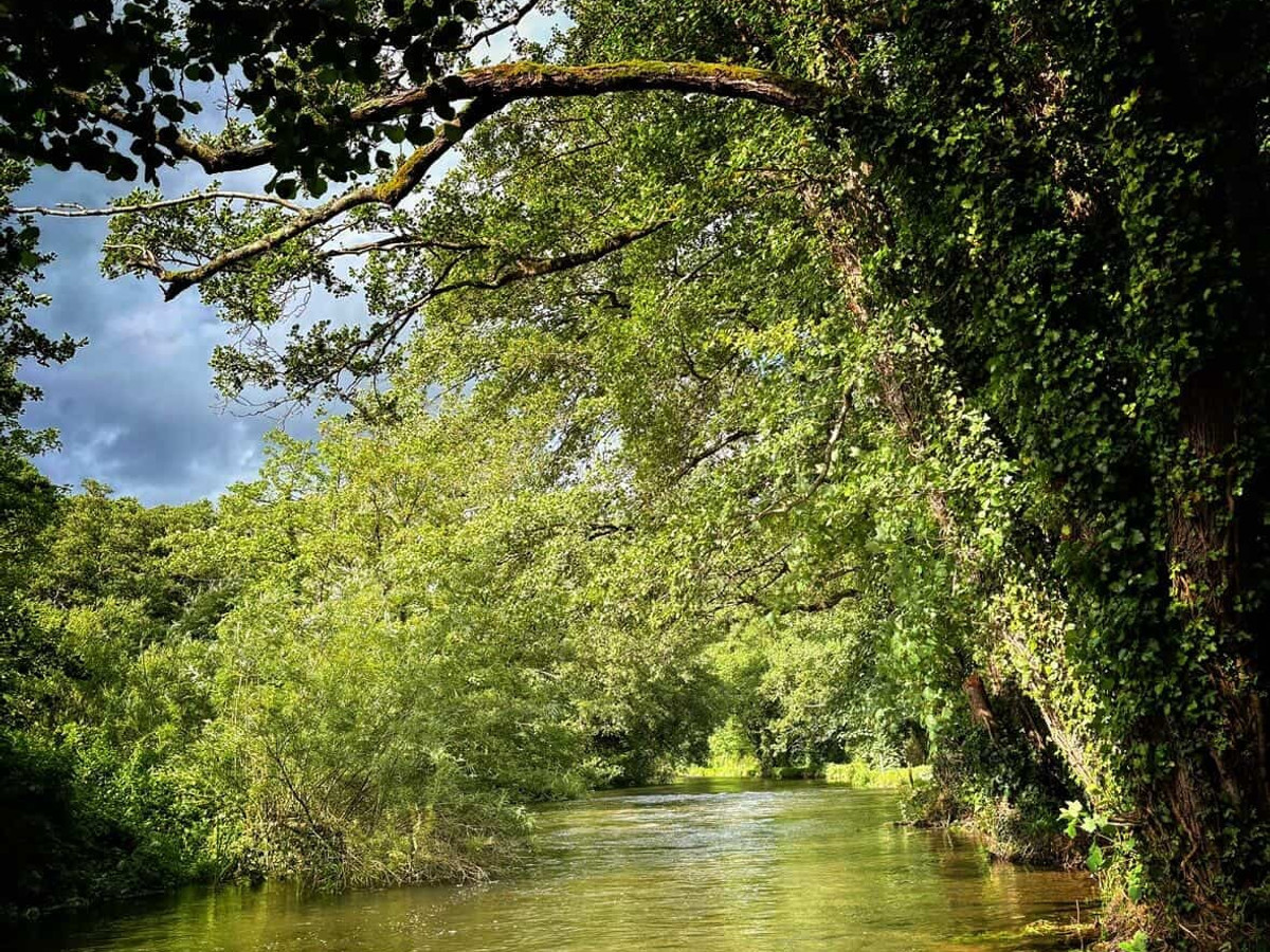 Picture of the river Itchen