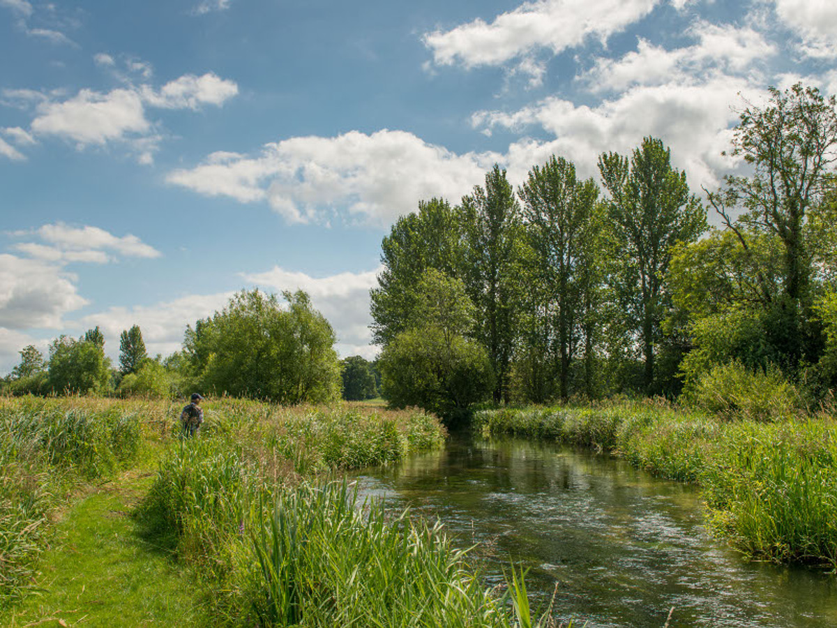 View of the Middleton fishing beat on the River Test
