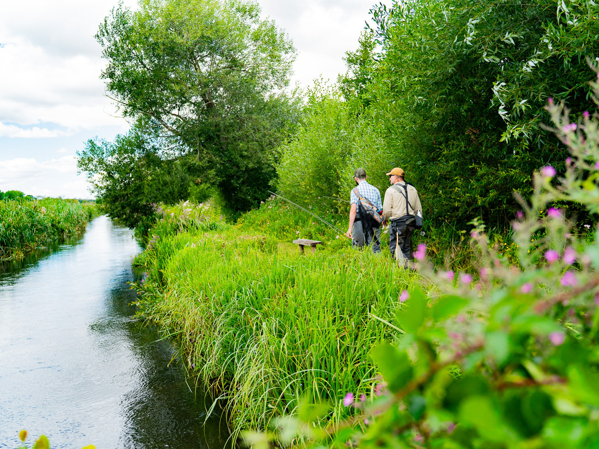 Picture of the lamb stream