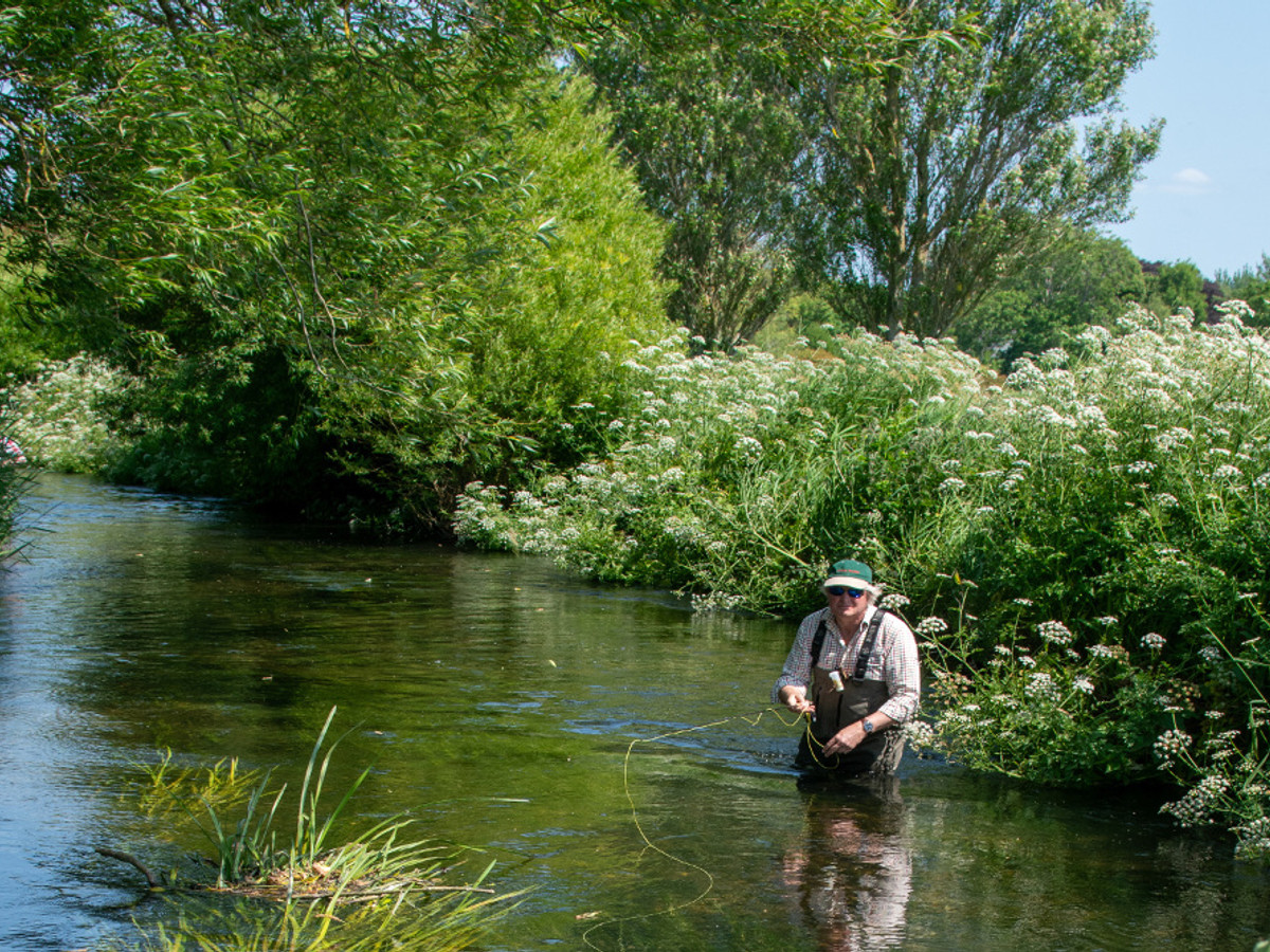 View of the River Meon