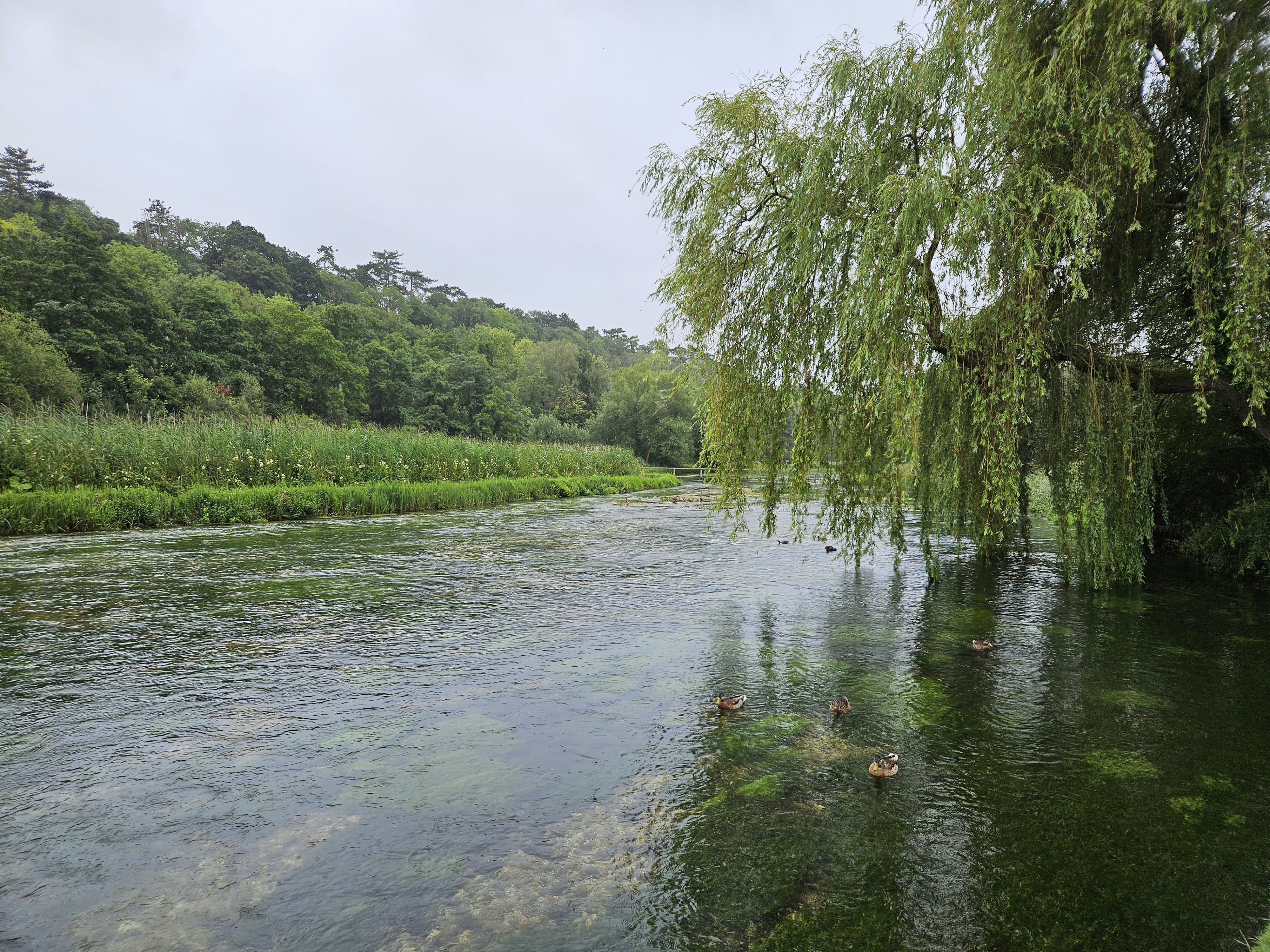 Beginner-friendly chalk stream beats to start with