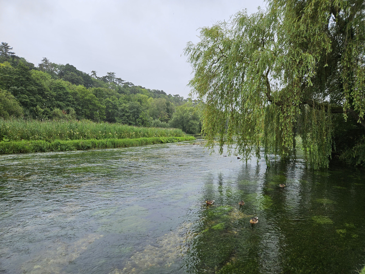 Beginner-friendly chalk stream beats to start with