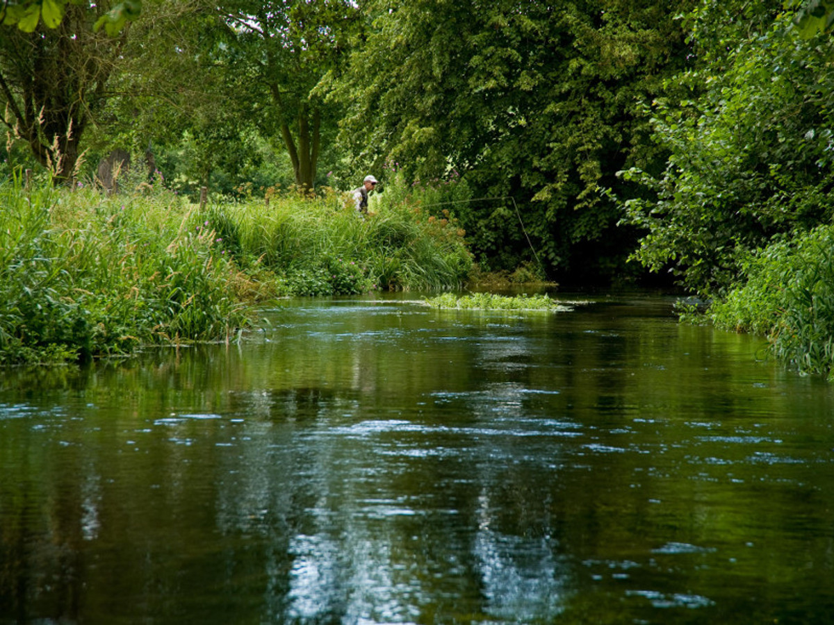 Picture of Donnington Grove on the River Lambourn