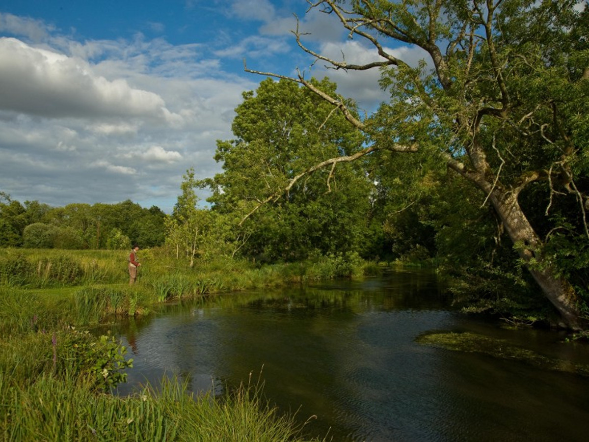 View of the Bullington Manor fishing beat on the River Test