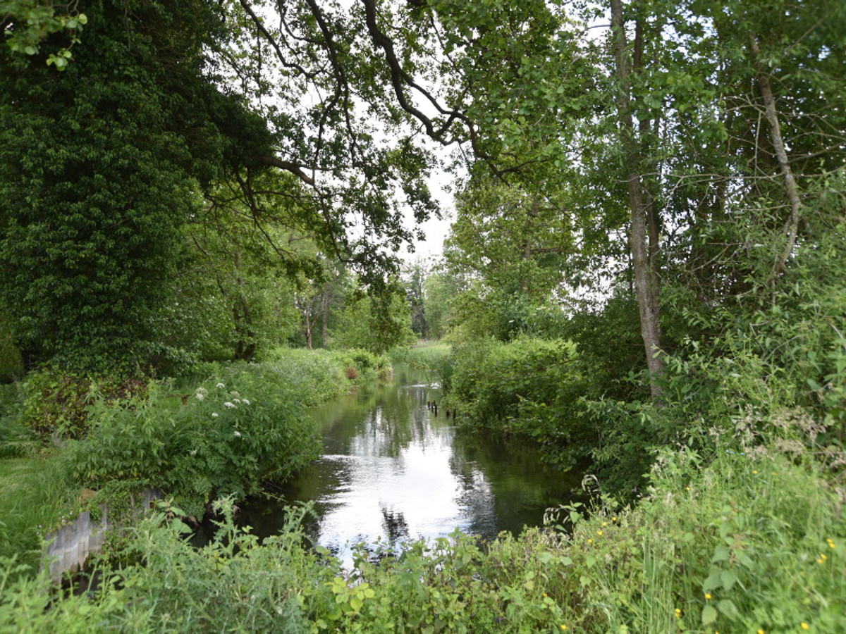 View of the Benham Estate fishing beat on the River Kennet