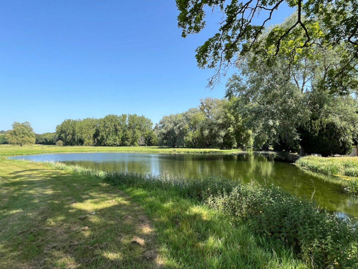 View of the West Wycombe Park fishing beat on the River Wye