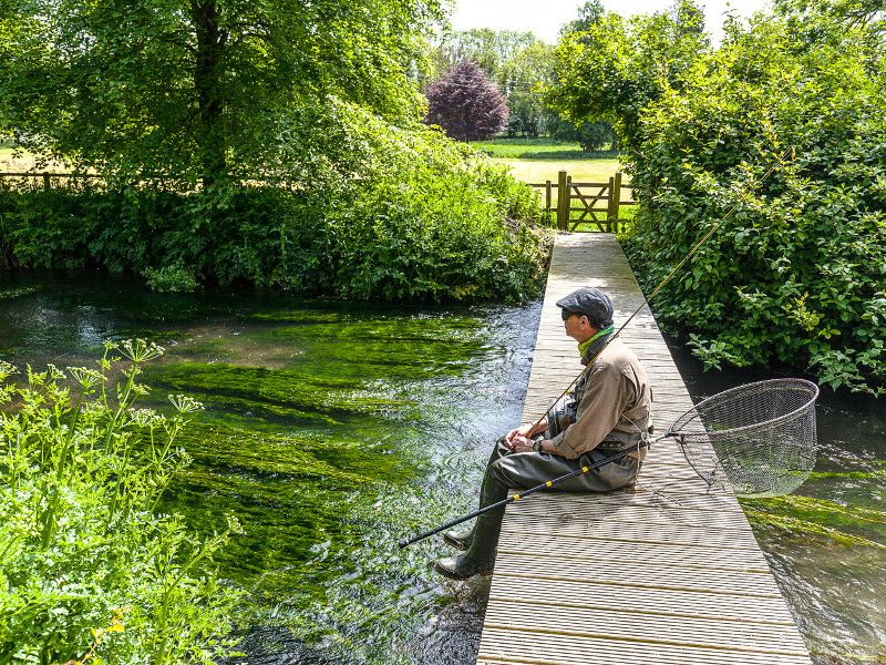 River Meon