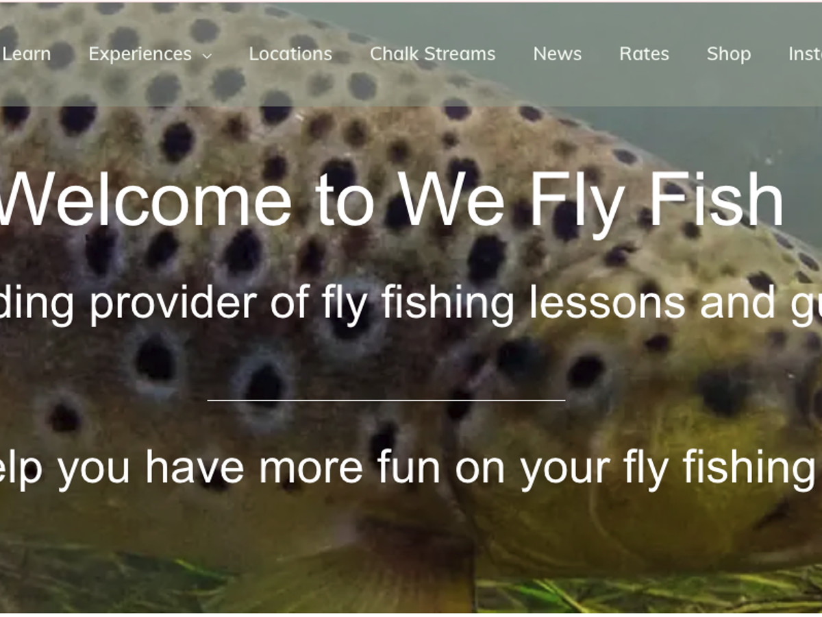 Screenshot of We Fly Fish