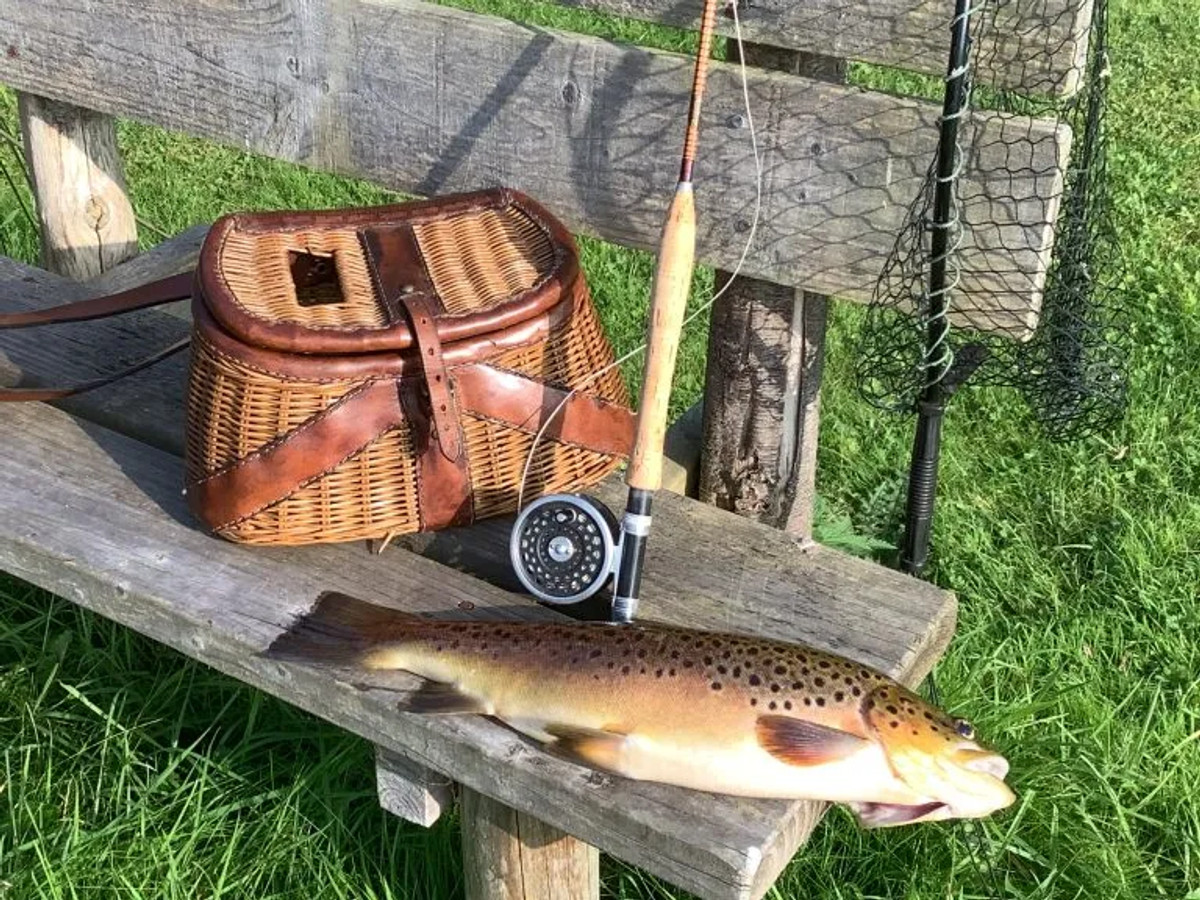 Picture of a brown trout caught