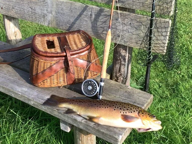 Picture of a brown trout caught