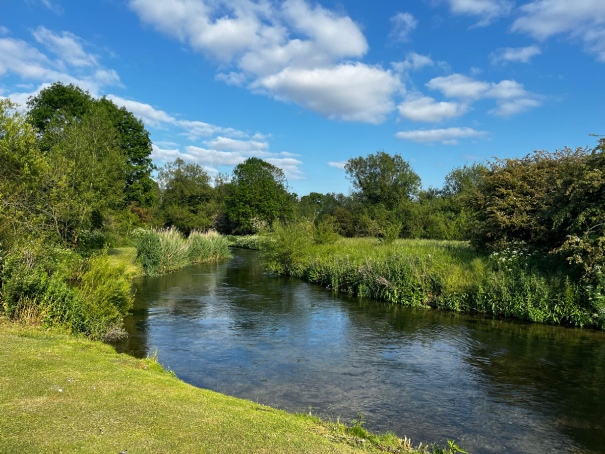 View of the River Avon