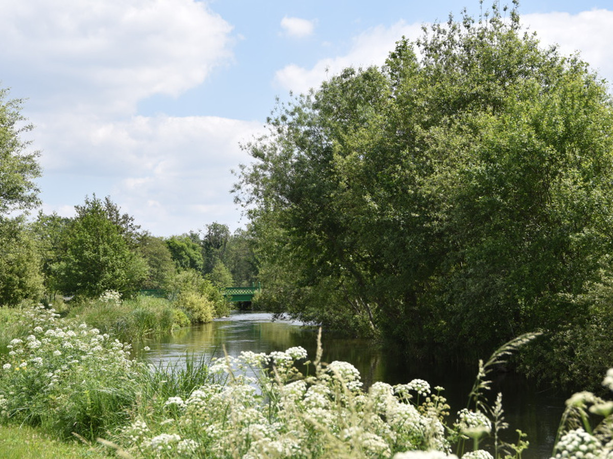View of the Benham Estate fishing beat on the River Kennet