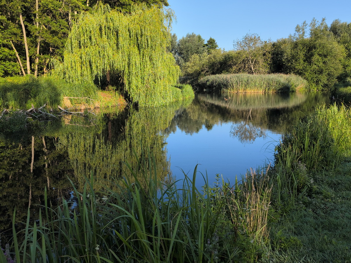 Picture of the river Kennet