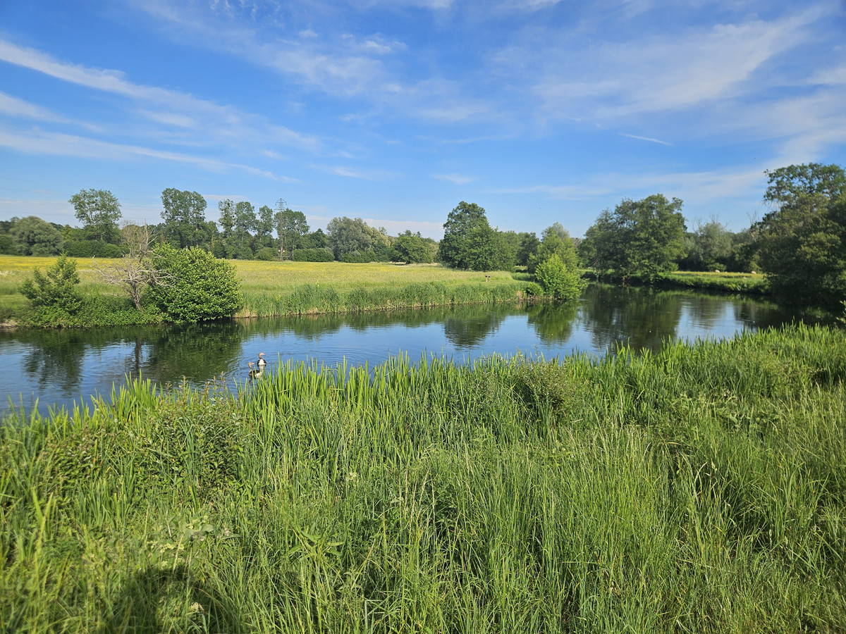 Picture of the river Test