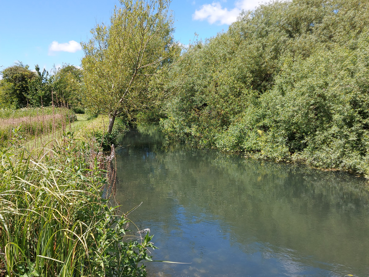 View of ramsbury mill fishing beat