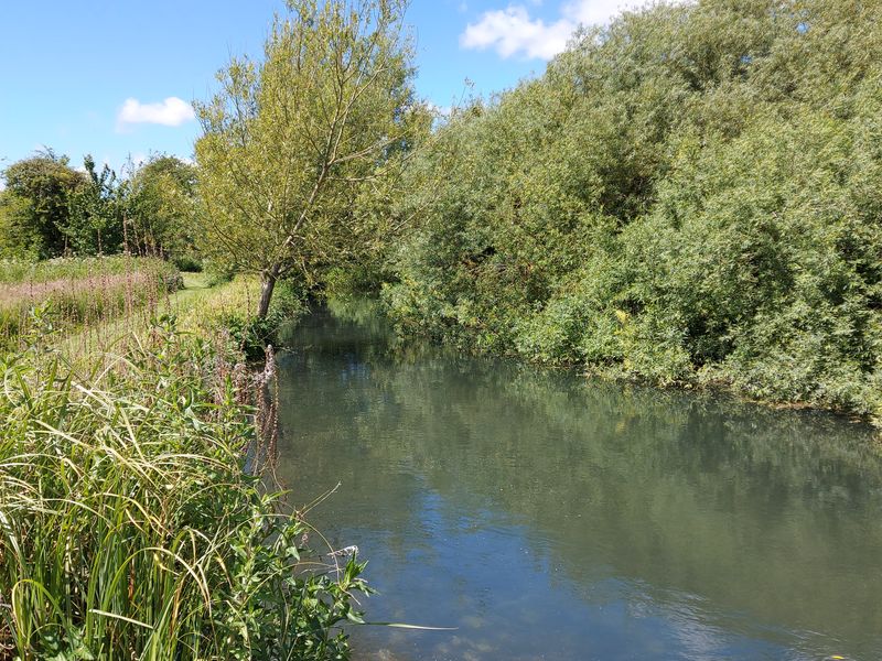 View of ramsbury mill fishing beat