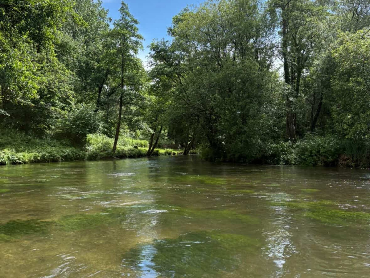 Picture of the river Itchen