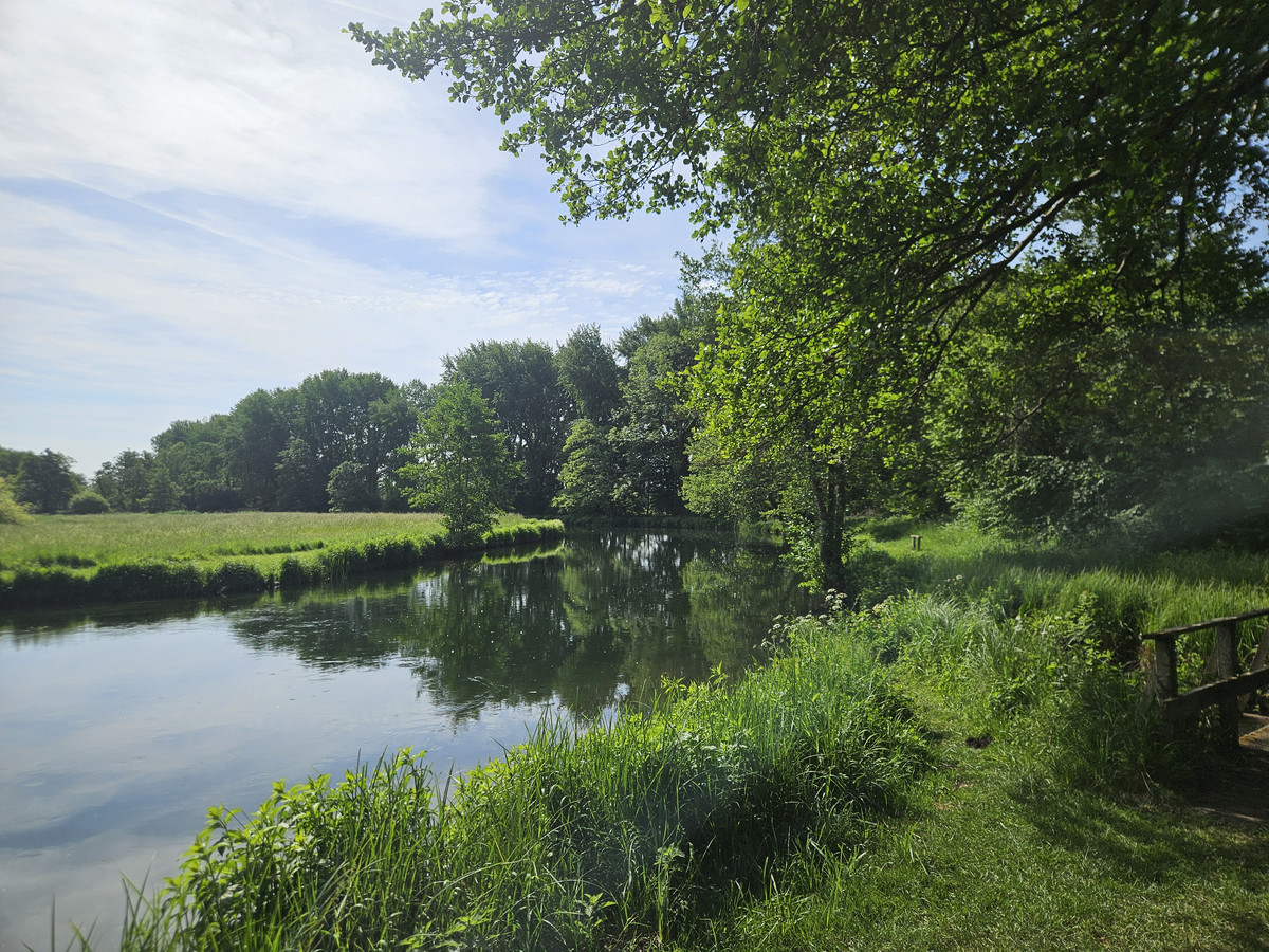 Picture of the river Test bending at the Parsonage Beat