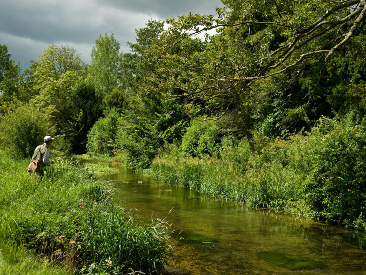 Picture of Donnington Grove on the River Lambourn