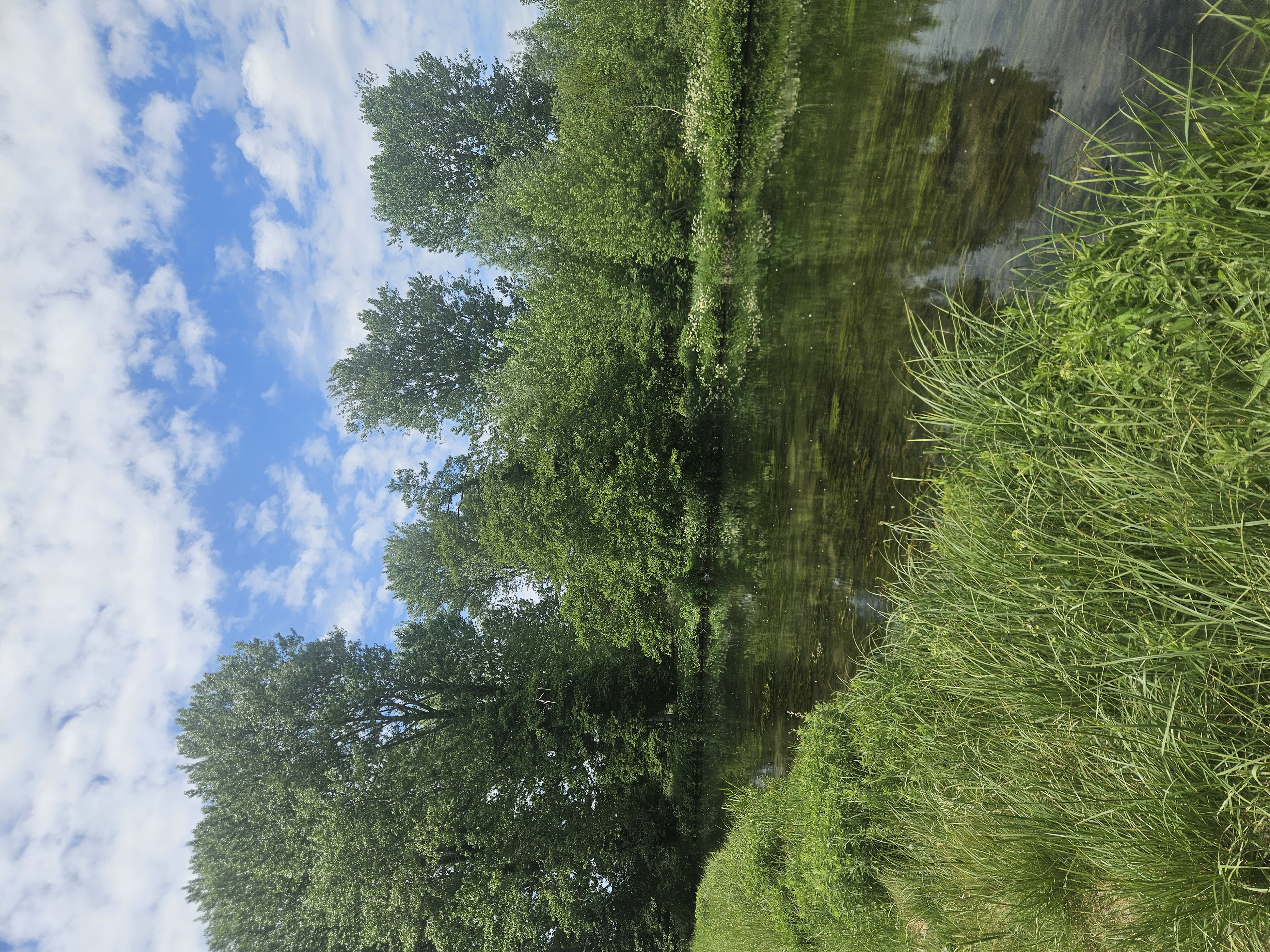 Fishing chalk streams in the heat