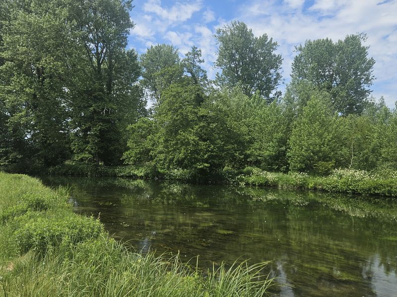 Fishing chalk streams in the heat