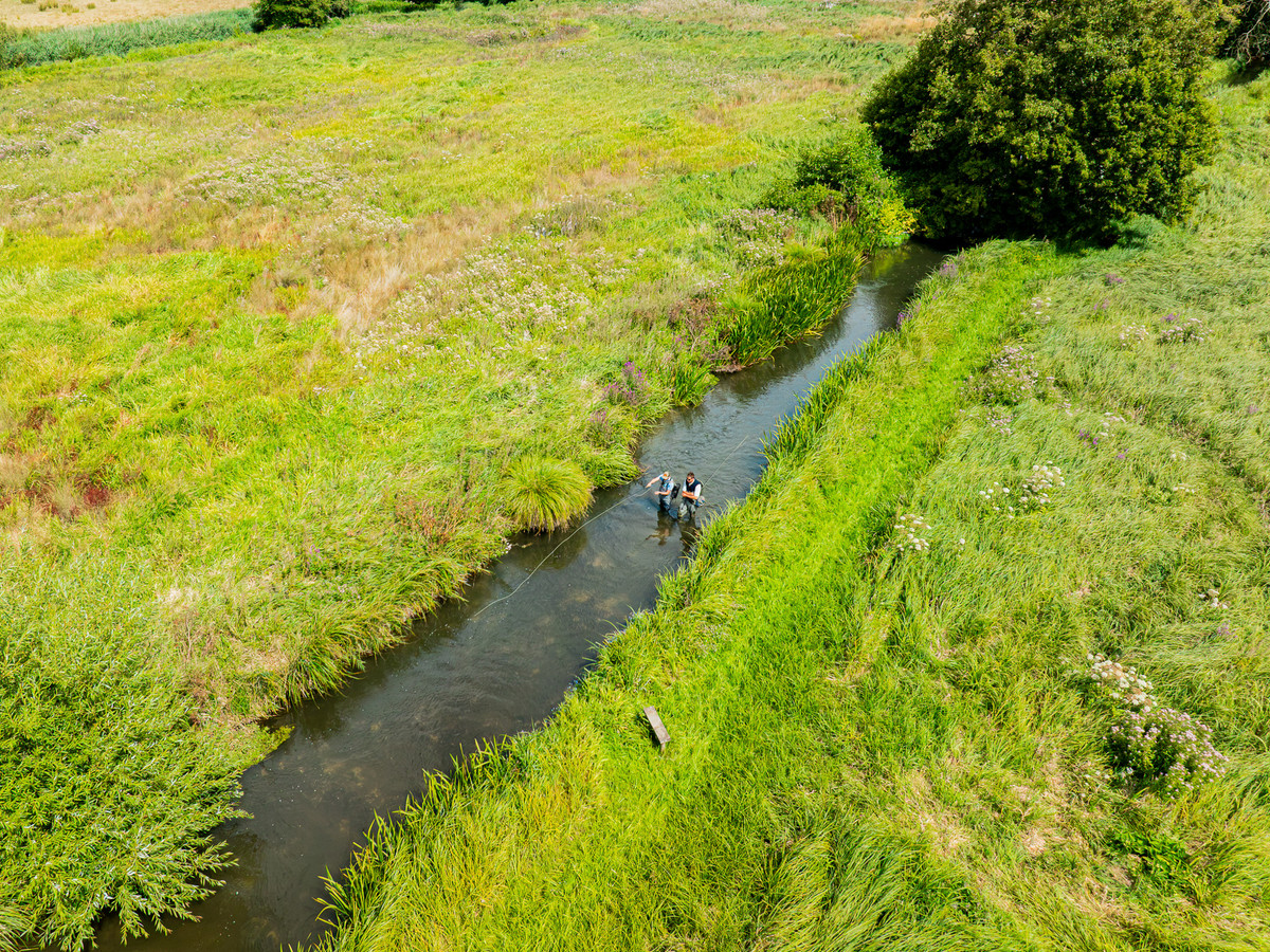 Arial view of the fishing at Benham Park