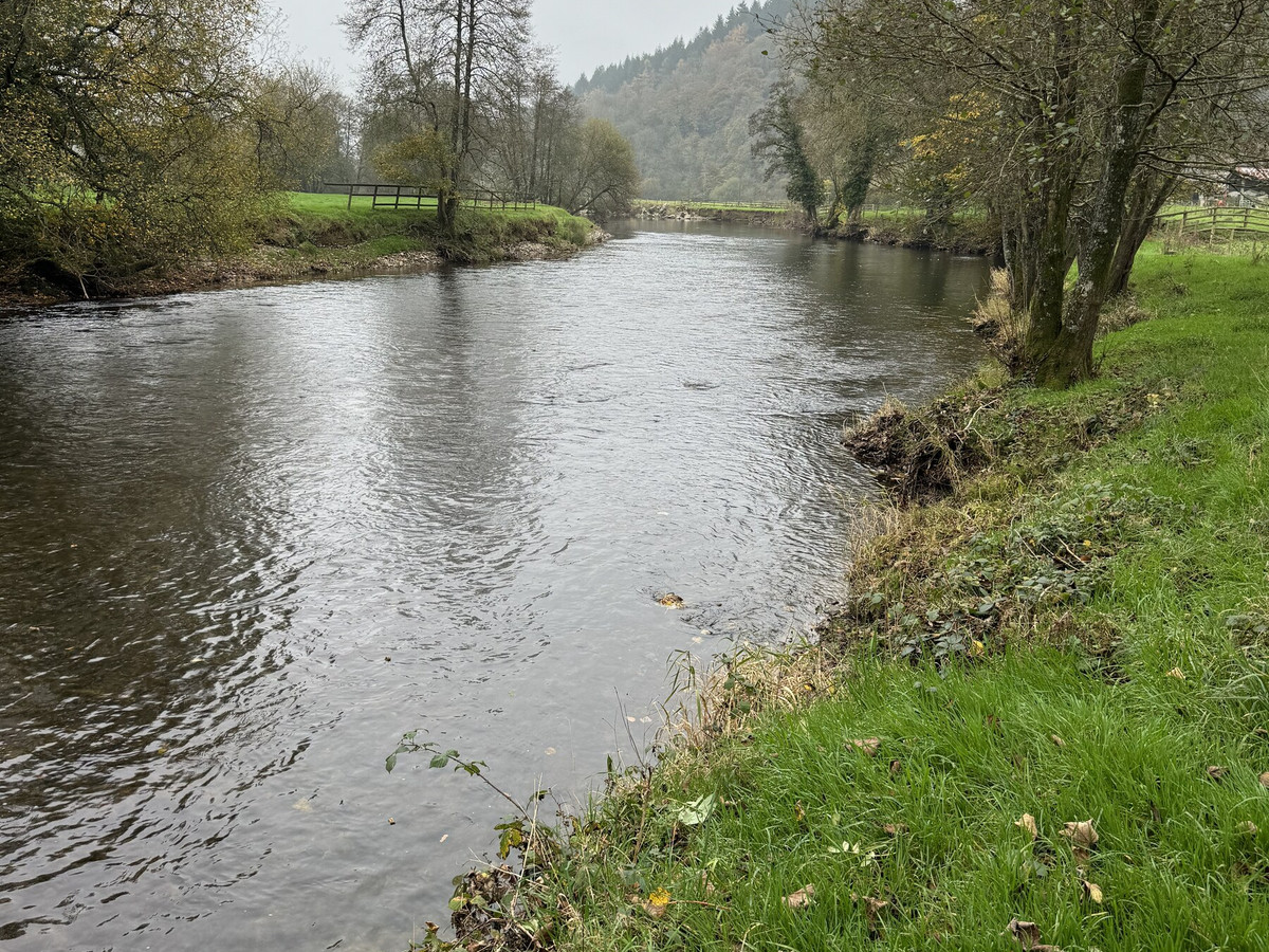 Bickleigh Beat