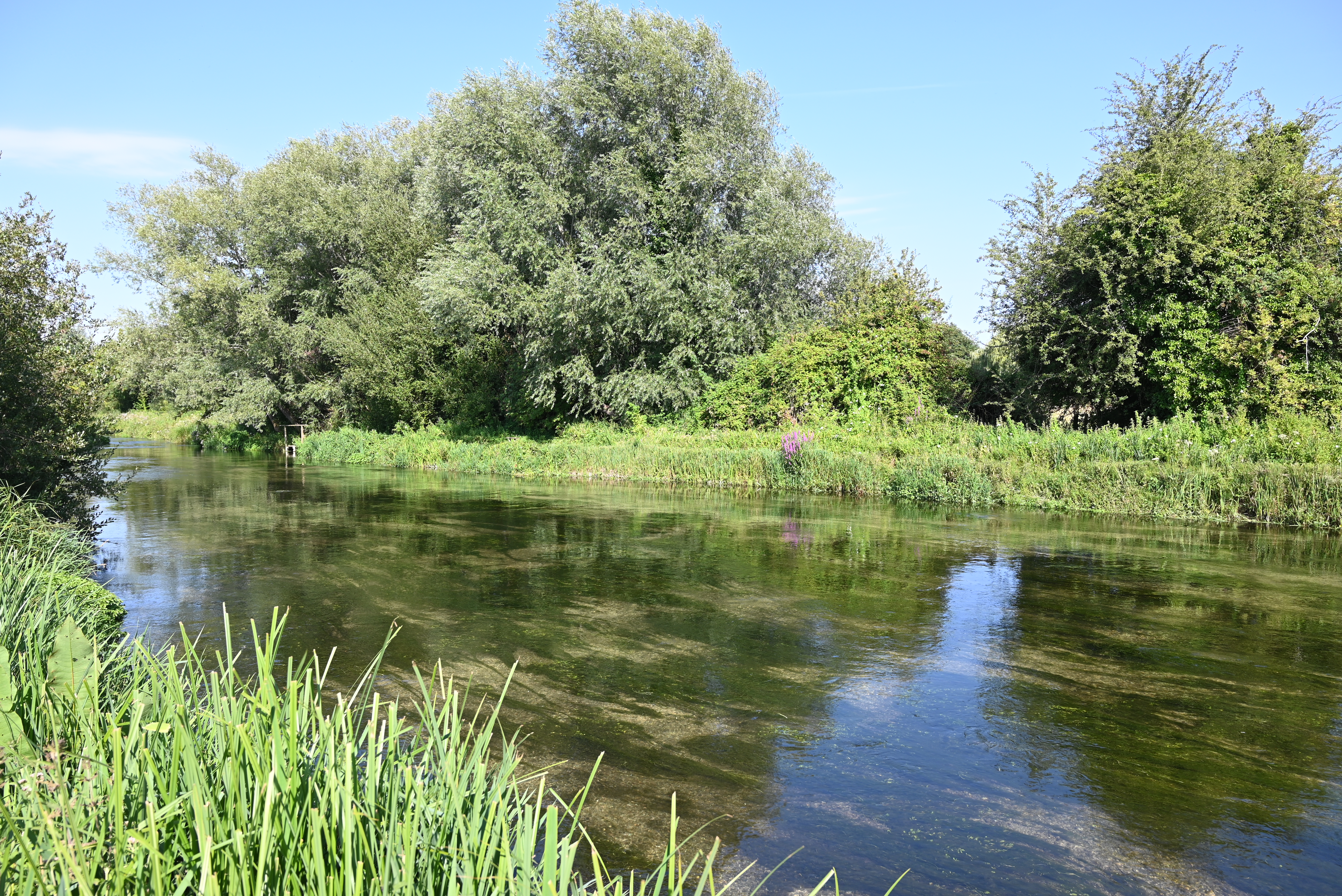 Picture of a chalkstream