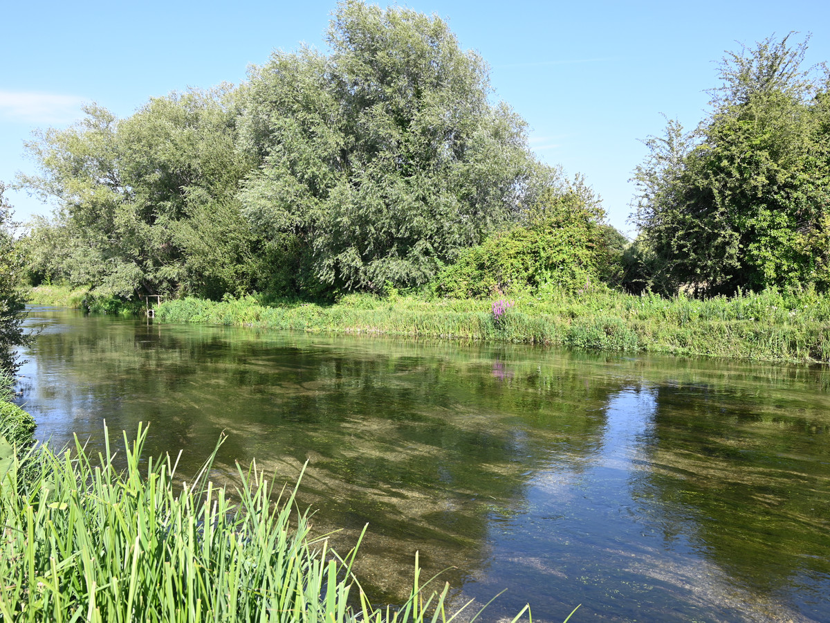 England's chalk streams: what they are and why they fish the way they do