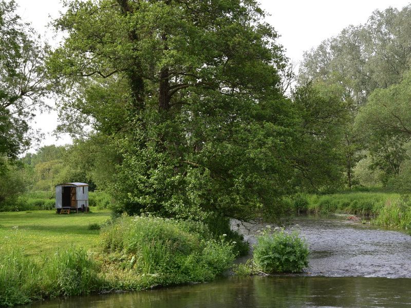 View of the Coombe Mill & Kingfisher Lodge fishing beat on the River Avon