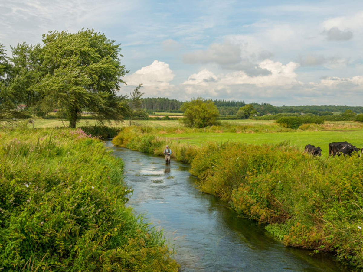 View of the Ilsington fishing beat on the River Frome