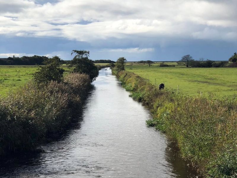 Some river and fishing magic.
#flyfishing #chalkstreams #fishing #nature