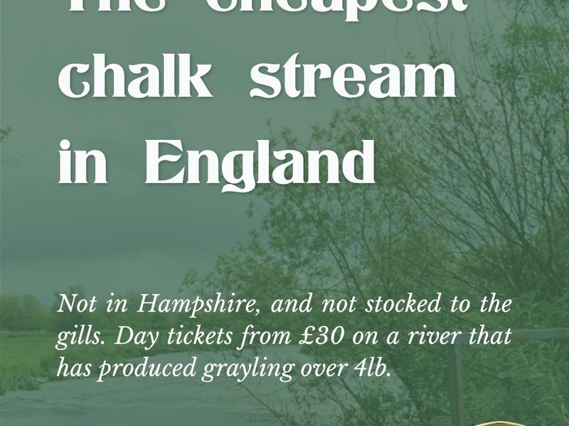Dorset, not Hampshire.
The Test has ten beats at £200 or less for a trout day, and not one of them