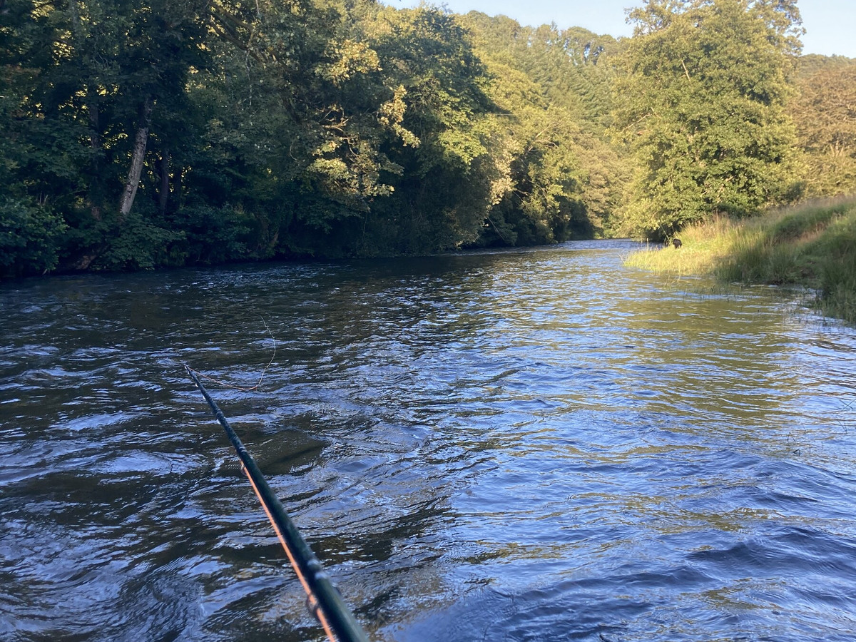 The River Exe on the Bolham Beat, Devon