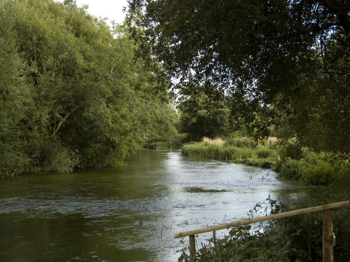 Picture of the river Anton at Upper Clatford