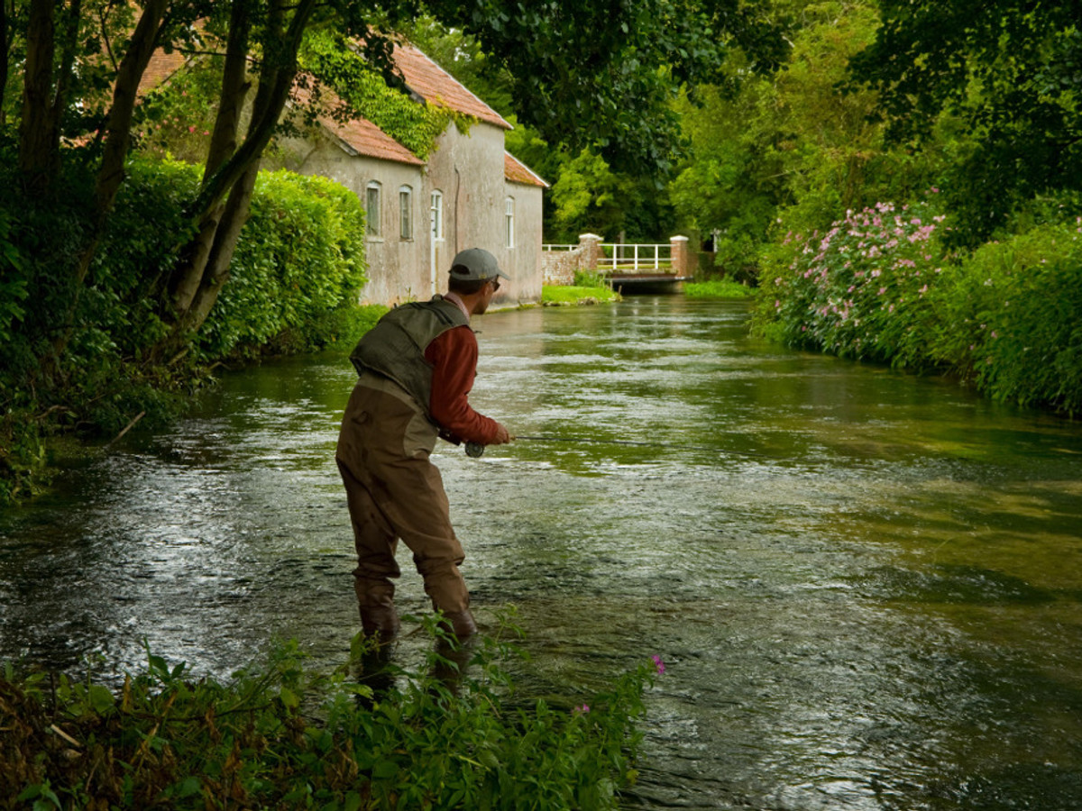 View of the Whitchurch Fulling Mill fishing beat on the River Test