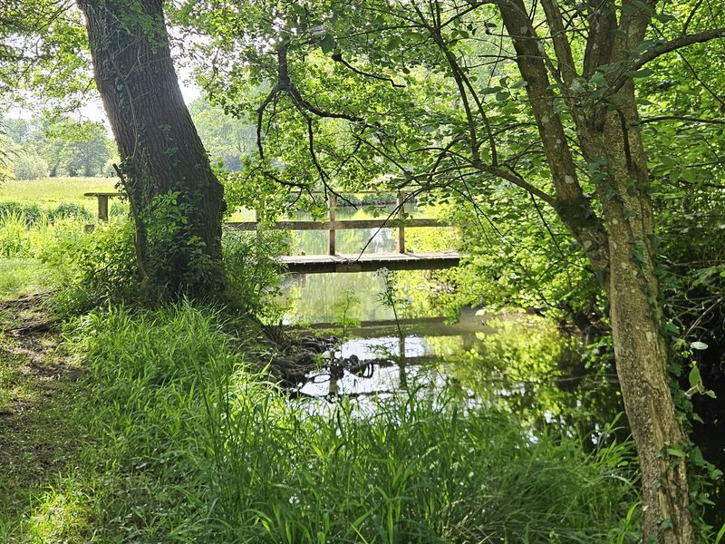 What a £100 chalk stream day actually gets you