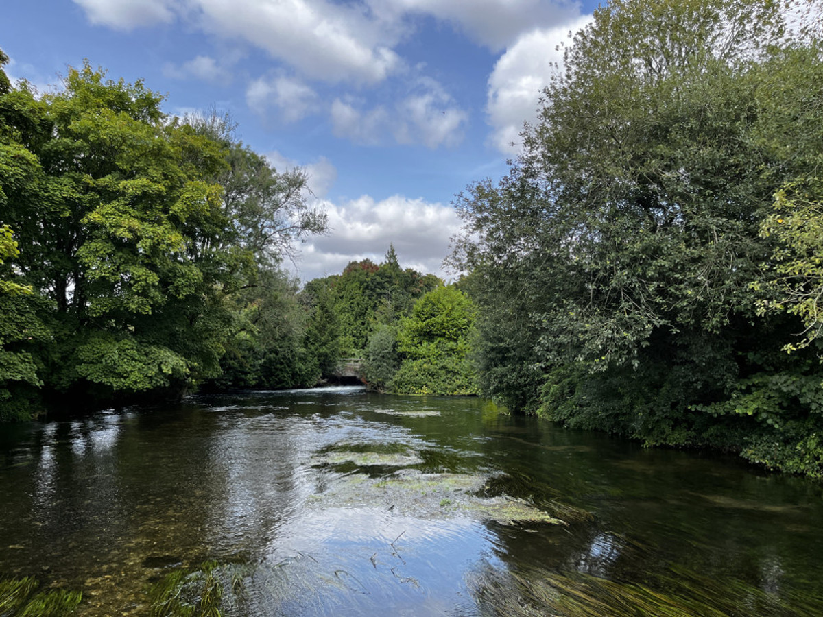 View of the Kimbridge fishing beat on the River Test