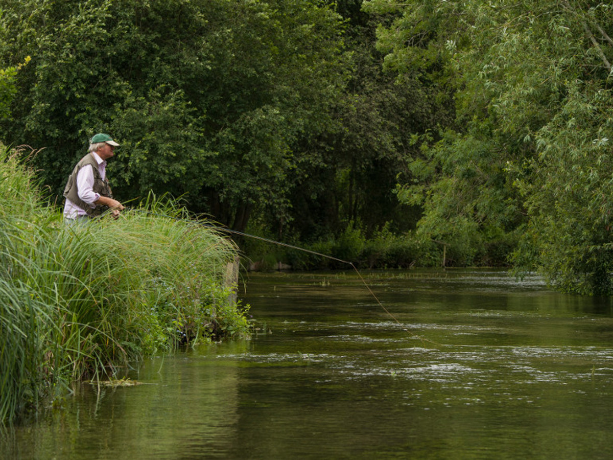 Picture of the river Anton at Upper Clatford