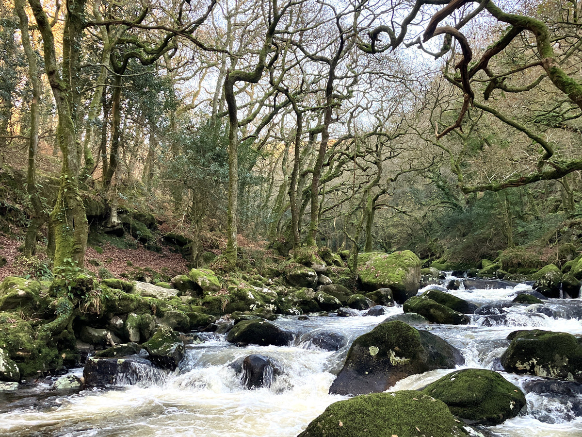 Tavy Walkham and Plym Fishing Club
