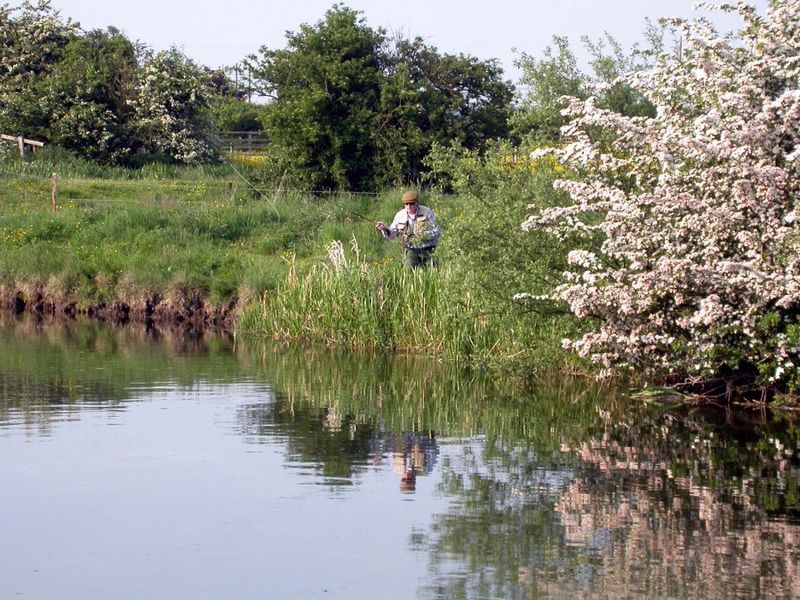 Wild brown trout water on the Driffield Beck