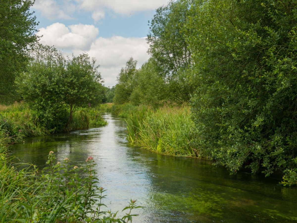 View of the Middleton fishing beat on the River Test