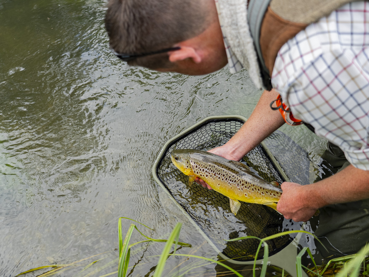 Picture of a fishermen holding a brown trout on the Wilderness fishing beat