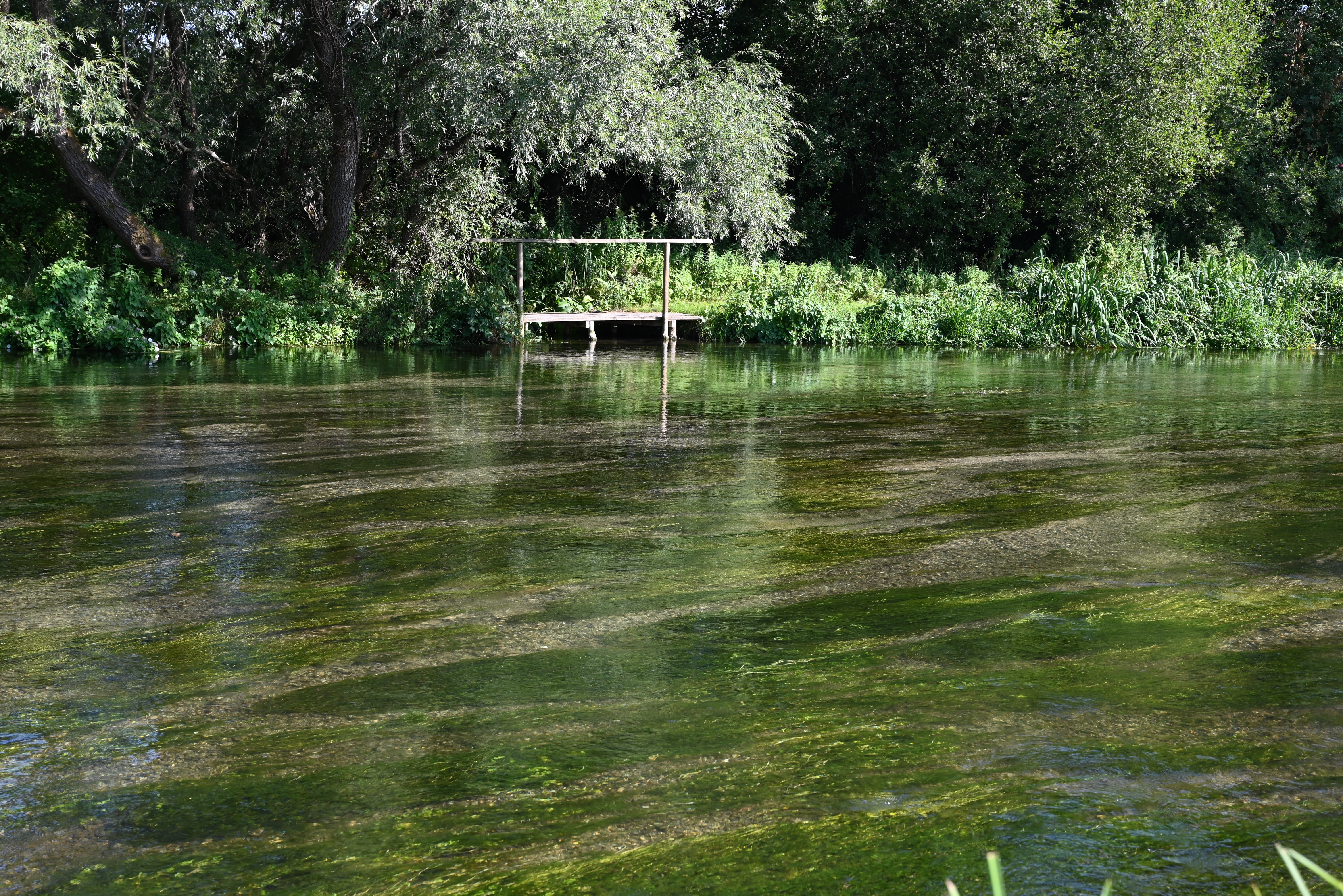 Picture of a chalkstream
