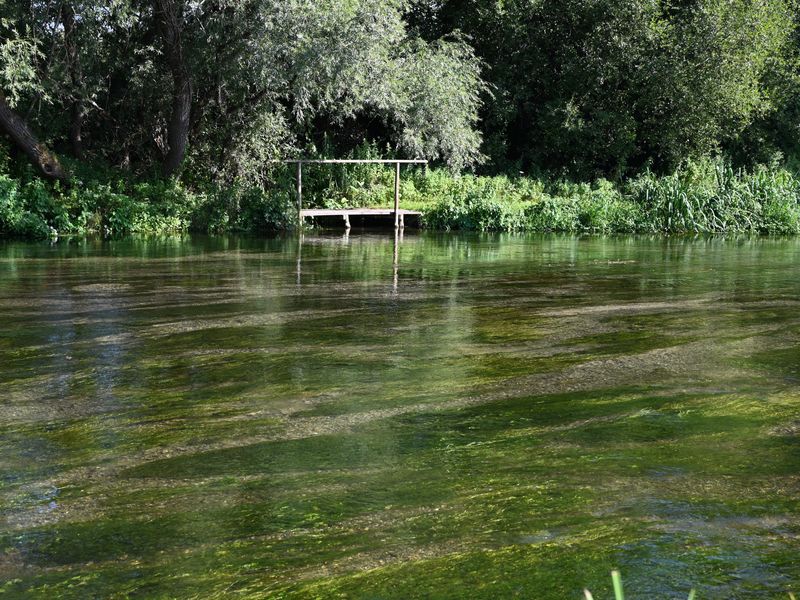 Picture of a chalkstream