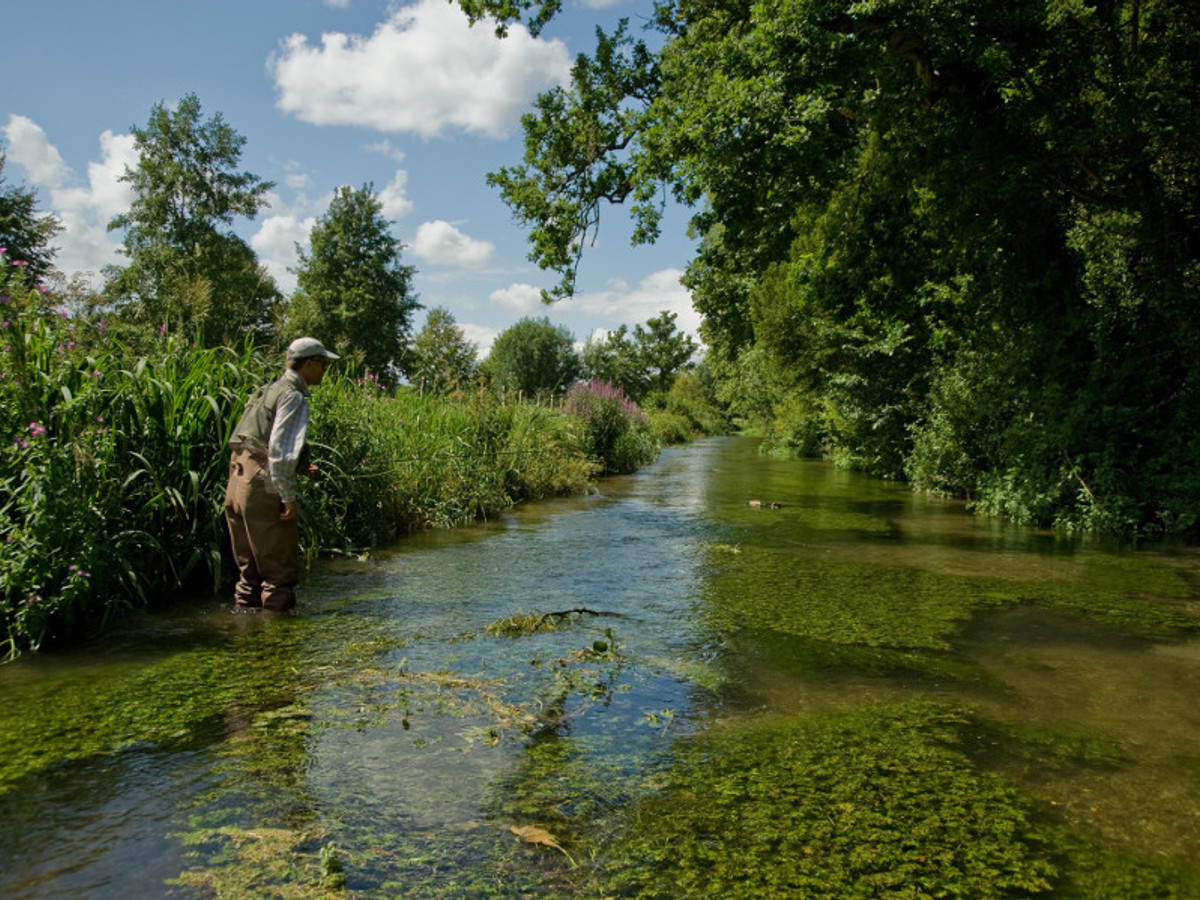 Picture of Donnington Grove on the River Lambourn