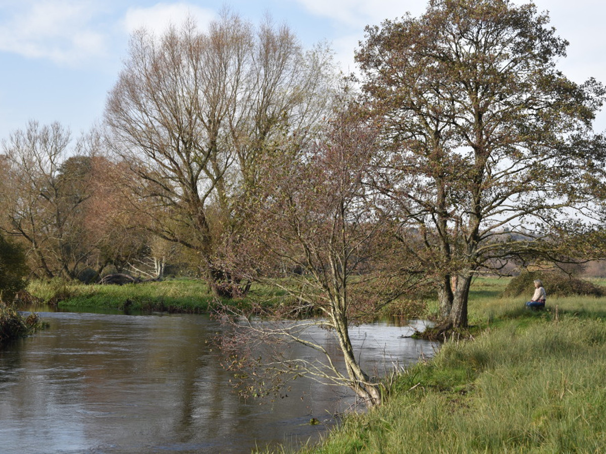 View of the Breach Farm fishing beat on the River Itchen